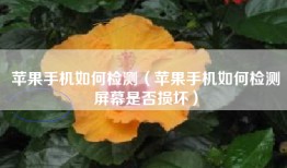 苹果手机如何检测（苹果手机如何检测屏幕是否损坏）