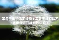 苹果手机短信不提示（苹果手机短信不提示但打开能看到内容）