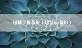 越狱手机备份（越狱app备份）