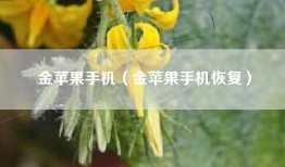 金苹果手机（金苹果手机恢复）