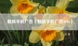 魅族手机广告（魅族手机广告2016）