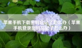 苹果手机下载密码忘记了怎么办（苹果手机登录密码忘记了怎么办）