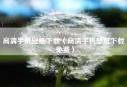 高清手机壁纸下载（高清手机壁纸下载 免费）