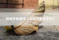 同城手机靓号（手机号靓号平台）