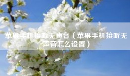 苹果手机接听无声音（苹果手机接听无声音怎么设置）