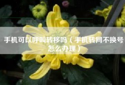 手机可以呼叫转移吗（手机转网不换号怎么办理）