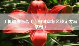 手机键盘怎么（手机键盘怎么锁定大写字母）