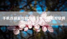 手机连接监控软件（手机连接监控软件叫什么名字）