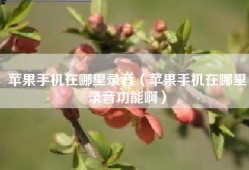 苹果手机在哪里录音（苹果手机在哪里录音功能啊）