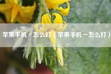 苹果手机丶怎么打（苹果手机一怎么打）