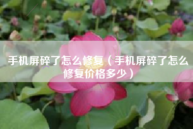 手机屏碎了怎么修复（手机屏碎了怎么修复价格多少）