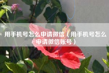 用手机号怎么申请微信（用手机号怎么申请微信账号）